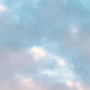 Meet your Posher, Serenity